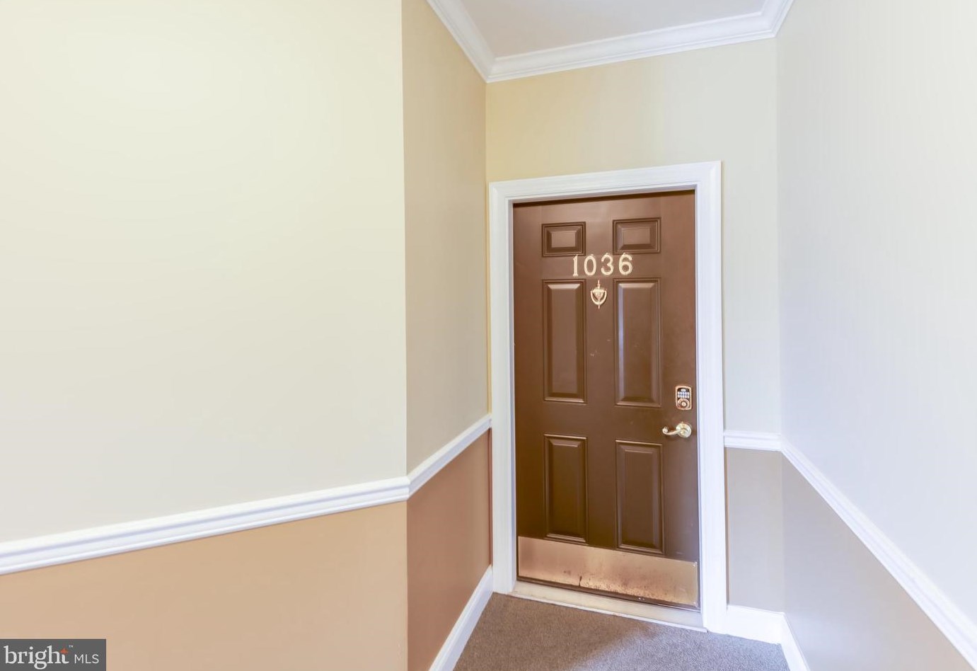 1036 Timberlake, Trenton, NJ 08618