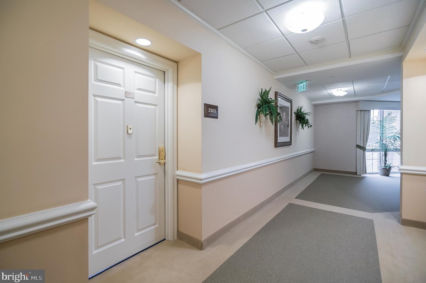 2303 Windrow Dr, Princeton, NJ 08540