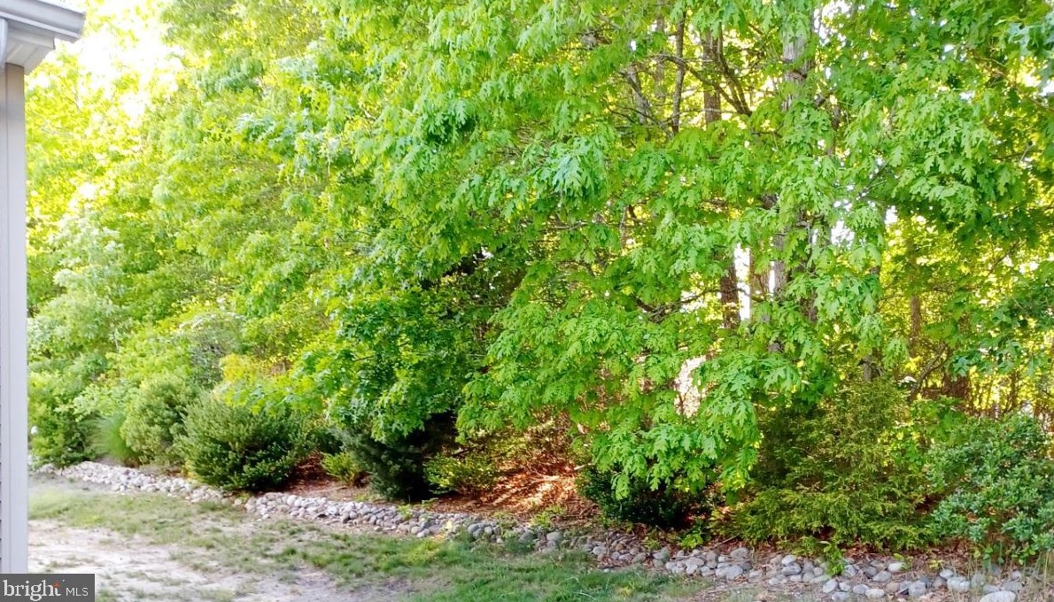 89 Briarwood Dr, Tuckerton NJ  08087-4007 exterior