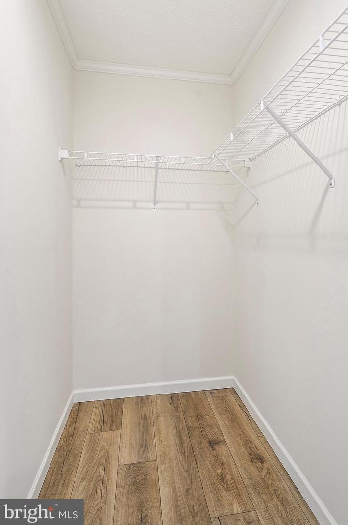 6 Lace Bark Ln, Jackson Twp NJ 08527-3035 exterior