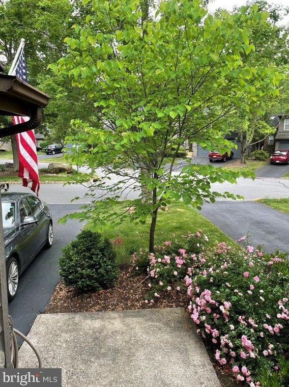 16 Andover Cir, Princeton, NJ 08540