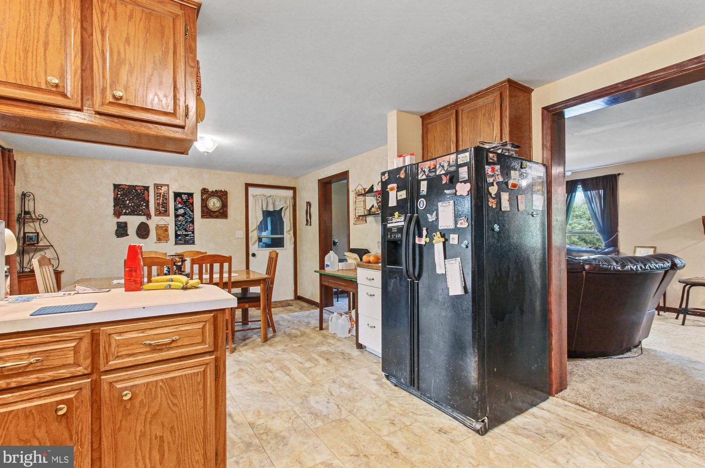 317 Lake Meade Dr, East Berlin PA  17316-9320 exterior