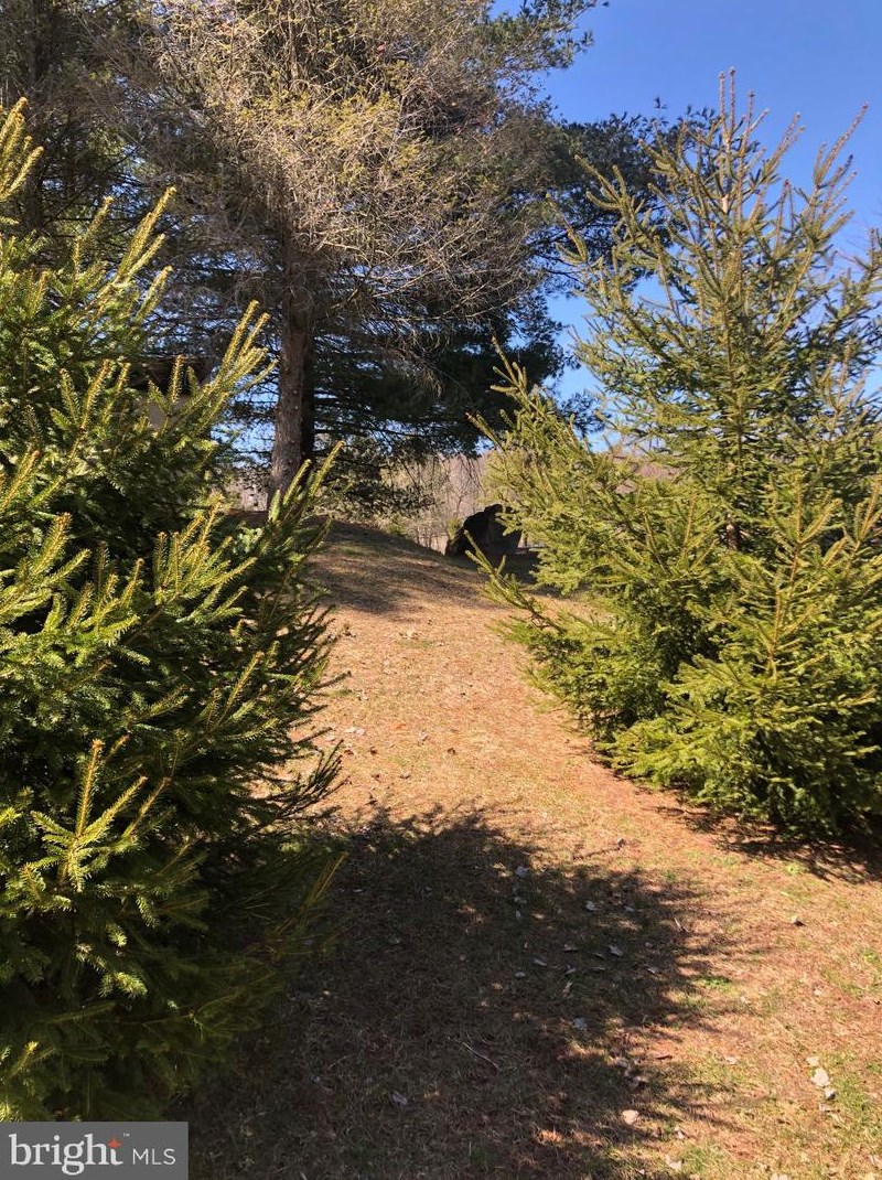 1 Pne Wood Ct, Reading PA  19607-3341 exterior