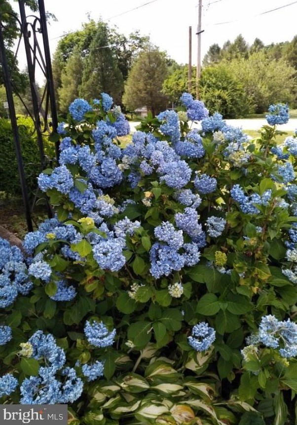 1466 Summer Hill Rd, Brommerstown PA  17922-9017 exterior