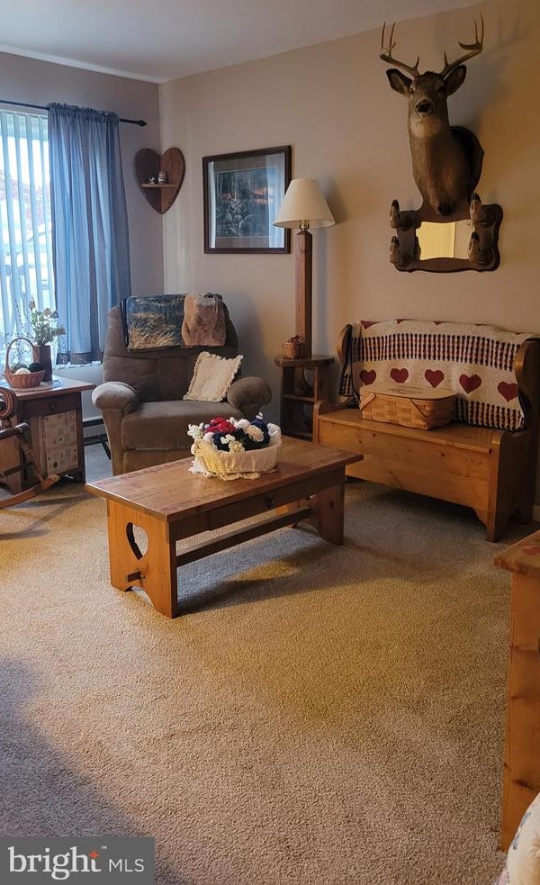 208 Laurel Ct, Lincoln Colliery, PA 17963
