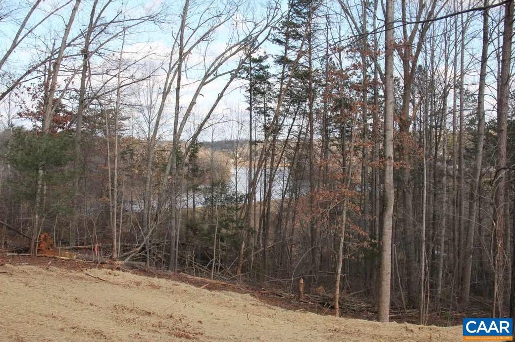 4795 Amicus Rd, Ruckersville, VA 22968-2503