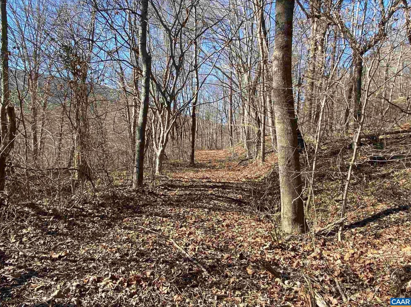 3820 Spotswood Trl, Stanardsville VA  22973-2639 exterior