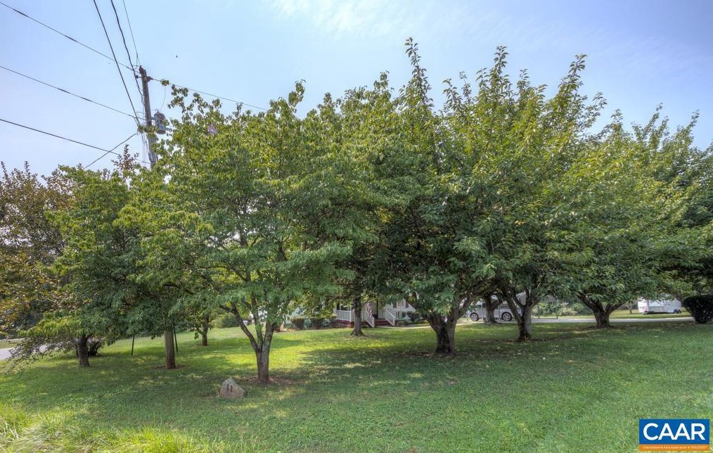 11 Gladiola Rd, Ruckersville VA  22968-2515 exterior