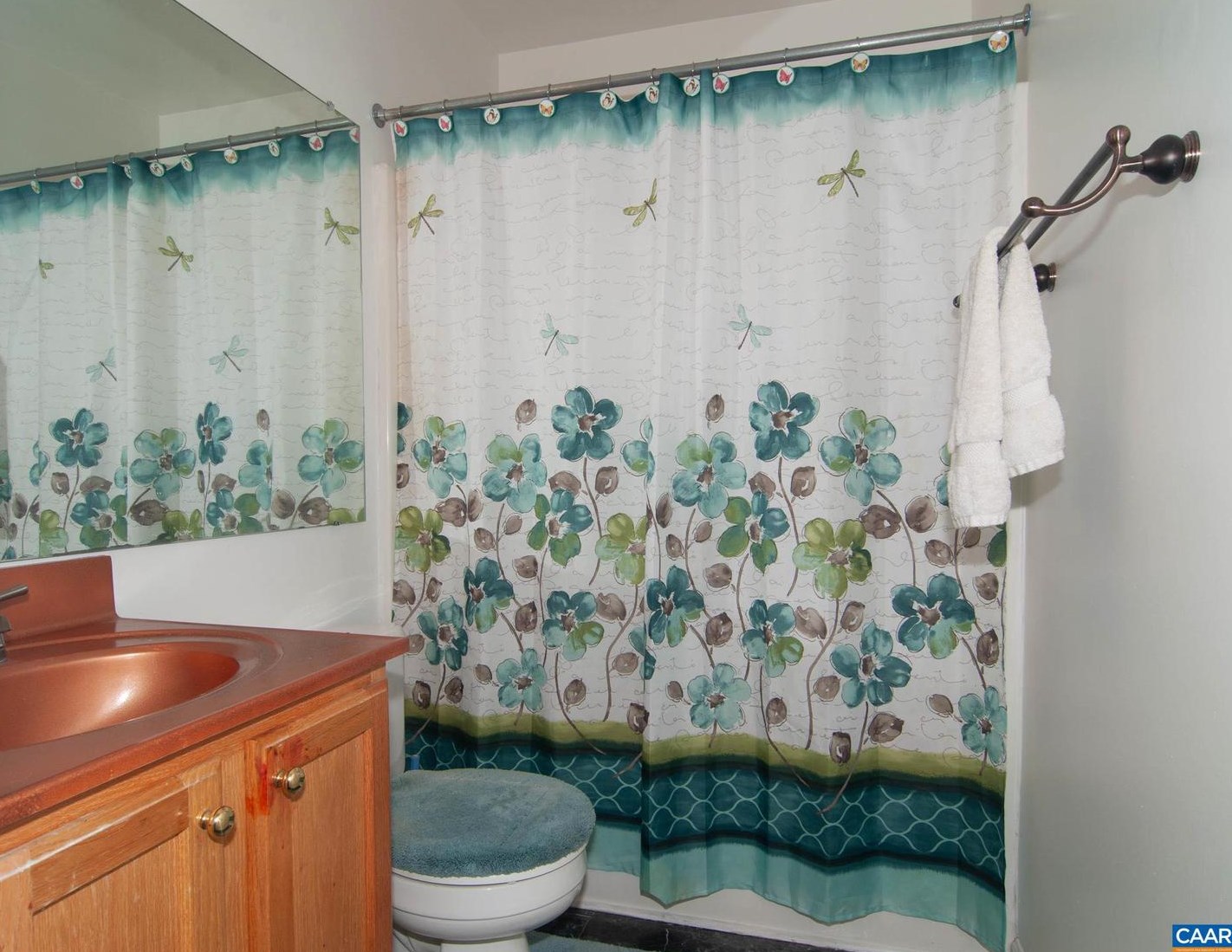 46 Oak Terrace Dr, Ruckersville VA  22968-3439 exterior