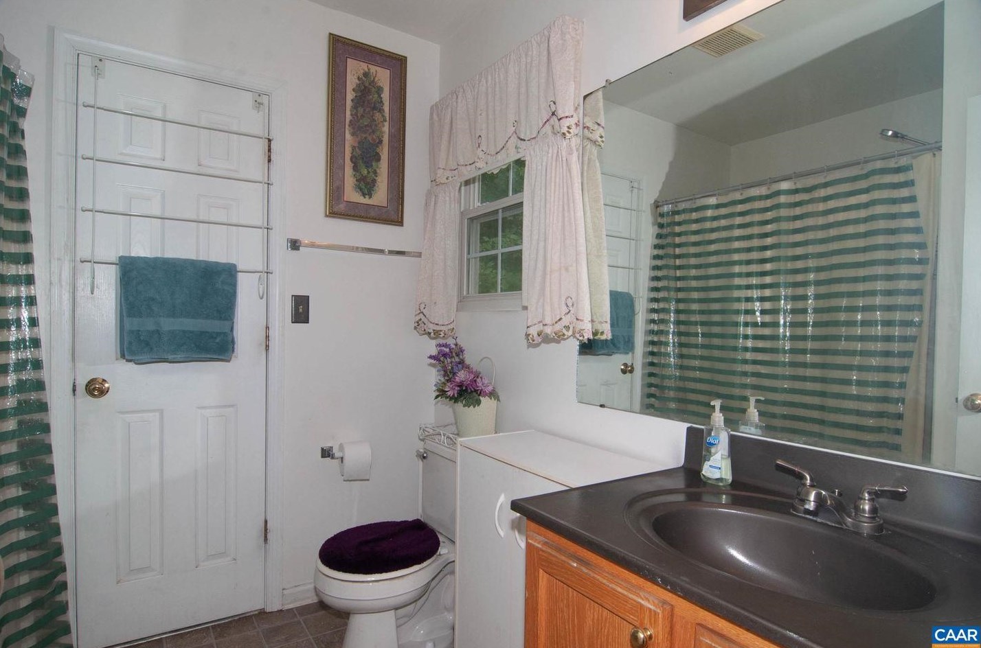 46 Oak Terrace Dr, Ruckersville VA  22968-3439 exterior