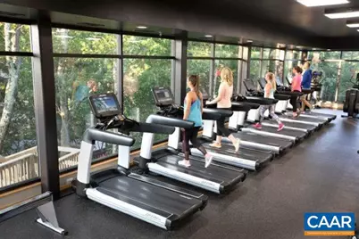 150 Shamokin Springs Trl, Wintergreen Resort, VA 22967 - Photo 10