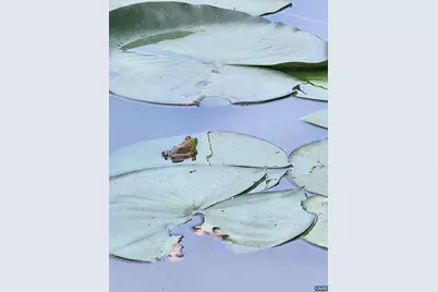 1889 Pond Rd, Buckingham, VA 23921 - Photo 54