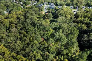 1704 Old Brook Rd, Charlottesville, VA 22901 - Photo 10