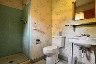 1704 Old Brook Rd, Charlottesville, VA 22901 - Photo 34