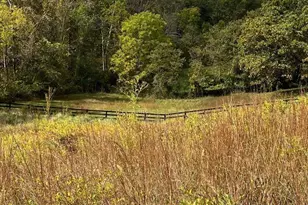 Lot 2B Browns Gap Turnpike, Crozet, VA 22920 - Photo 10