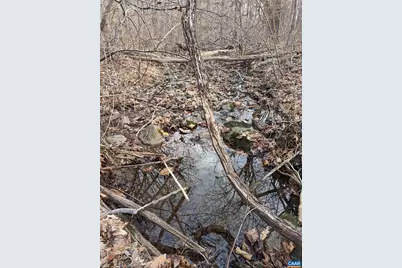 2005 Upper Stony Run, Greenwood, VA 22943 - Photo 64