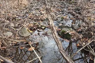 2005 Upper Stony Run, Greenwood, VA 22943 - Photo 64