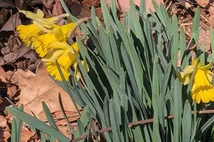 2005 Upper Stony Run, Greenwood, VA 22943 - Photo 24