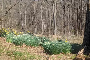 2005 Upper Stony Run, Greenwood, VA 22943 - Photo 6