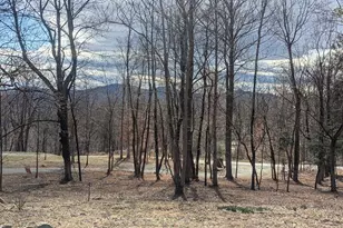 2005 Upper Stony Run, Greenwood, VA 22943 - Photo 2