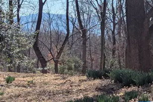 2005 Upper Stony Run, Greenwood, VA 22943 - Photo 28