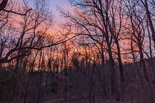 2005 Upper Stony Run, Greenwood, VA 22943 - Photo 26