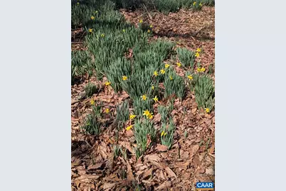 2005 Upper Stony Run, Greenwood, VA 22943 - Photo 44