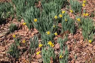 2005 Upper Stony Run, Greenwood, VA 22943 - Photo 44