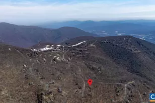 145 Firtree Dr, Wintergreen Resort, VA 22967 - Photo 52