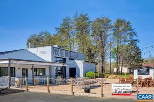 2032 Larkin Ave, Crozet, VA 22932 - Photo 28