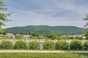 2032 Larkin Ave, Crozet, VA 22932 - Photo 26