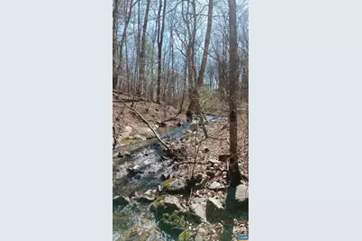 2005 Upper Stony Run #10, Greenwood, VA 22943 - Photo 4