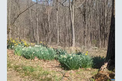 2005 Upper Stony Run #10, Greenwood, VA 22943 - Photo 10
