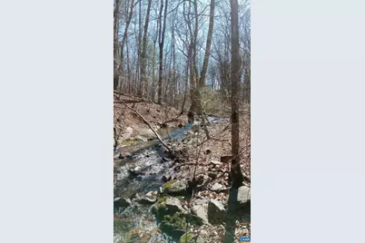 2005 Upper Stony Run #10, Greenwood, VA 22943 - Photo 60