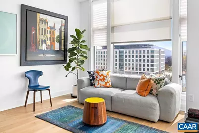 218 W Water St #705, Charlottesville, VA 22902 - Photo 20