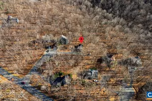 30 Stony Cove Ln, Wintergreen, VA 22967 - Photo 48