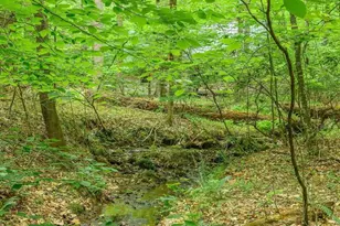 1816 Davis Shop Rd, Earlysville, VA 22936 - Photo 68