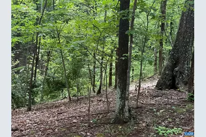 Tbd Rabbit Valley Rd, North Garden, VA 22959 - Photo 6