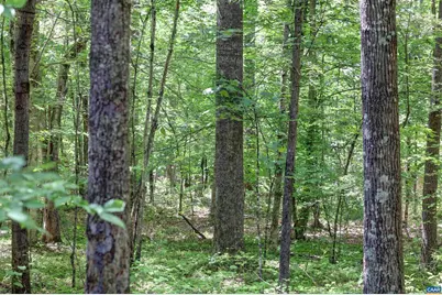 Lot E Link Evans Ln #E, Earlysville, VA 22936 - Photo 4