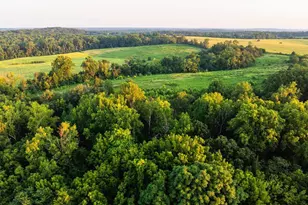 9313 Greenfield Farm, Scottsville, VA 24590 - Photo 30