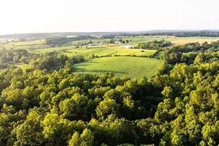 9313 Greenfield Farm, Scottsville, VA 24590 - Photo 28