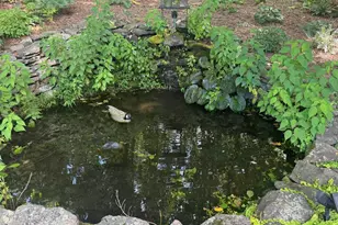 1950 Locust Hollow Rd, Charlottesville, VA 22903 - Photo 36