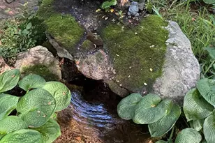 1950 Locust Hollow Rd, Charlottesville, VA 22903 - Photo 14