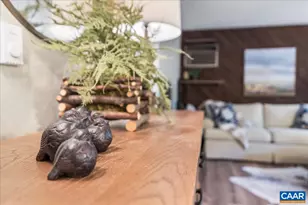 2226 Tanners Ridge Condos, Wintergreen Resort, VA 22967 - Photo 30