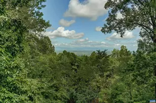 2515 Summit Ridge Trail, Charlottesville, VA 22911 - Photo 52