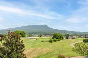 491 Claremont Ave, Rockingham, VA 22801 - Photo 22