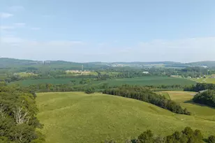 14372 Madison Run Rd, Gordonsville, VA 22942 - Photo 30