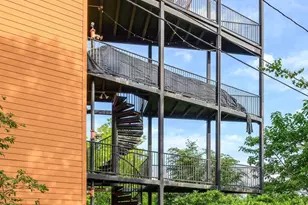 211 Cream St, Charlottesville, VA 22903 - Photo 6