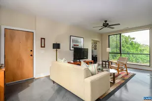 211 Cream St, Charlottesville, VA 22903 - Photo 14