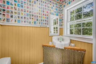 3132 Wynova Ln, Esmont, VA 22937 - Photo 28